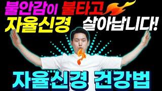 자율신경 건강법| 기적같이 부정적인 감정이 사라지고 자율신경을 회복시키는 자율신경건강법| 힐링가이드 이재호교수