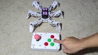 Hexapod Booting Up