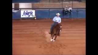 Campeão Pré Futurity Amador 2011