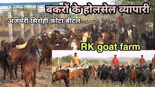 बकरो के व्यापारी  goat farm ajmer | goat market