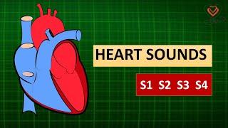 Heart Sounds - S1 S2 S3 S4|Homoeopathy and Health|