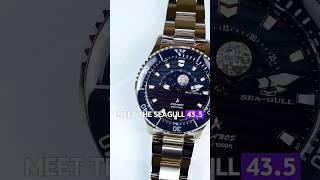 Seagull 43.5mm Dividing Watch 300M Waterproof Automatic Mechanical Wristwatch Moon Phase Luminescent