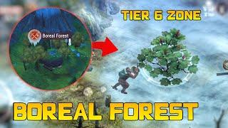 T6 Location: Boreal Forest (First Look) | Westland Survival
