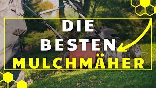 Mulchmäher TEST (2024) - Die besten Mulchmäher im VERGLEICH