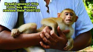 BreakingNews ! One Abandoned Little boy monkey release in the Sovana family in the morning