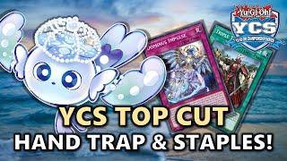 YCS Niagara Top Cut Most Played Hand Traps and Side Deck Staples! | Post ROTA (Rage of the Abyss)