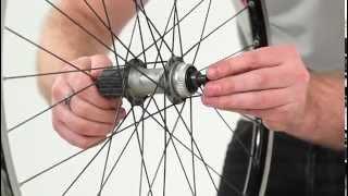 How to service your Shimano hubs