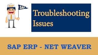 ERP SAP Basis - Net Weaver | SAP Workflow (Troubleshooting issues) |