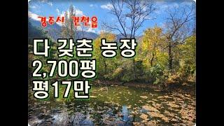 (영천착한부동산)NO.934/경주시 건천읍 평당17만원 2,700평 과수원