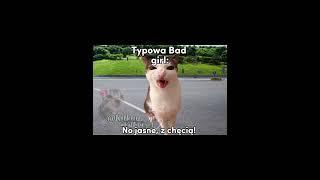Typowa bad girl  #cats #śmieszne#greenscreen #cat #trend#memes#funny#memy #catmeme
