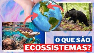 O QUE É ECOSSISTEMA? | ECOSSISTEMAS TERRESTRES E AQUÁTICOS