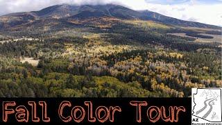 Flagstaff Arizona - Fall colors. Off-roading & camping.