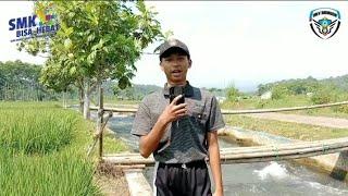 Tugas INFORMATIKA X TOT 4 ANDIKA ARI MAHENDRA #vlog #cinematik