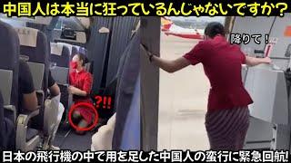 日本の飛行機の中で用を足した中国人の蛮行に緊急回航！