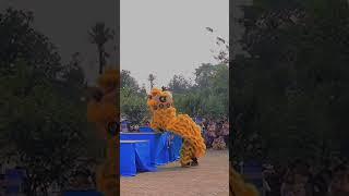 BARONGSAI SALTO