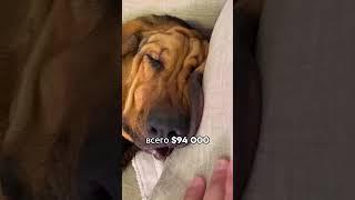 Малоизвестные факты в числах #математика #числа #факты #неизведанное #секреты #деньги