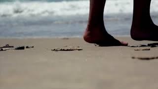 FREEDIO: "Walking in beach" royalty free HD stock video footage