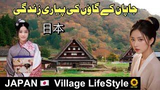 Beautiful Japan  village Life Documentary in urdu hindi | جاپان کے گاؤں کی سیر | Bilal Tv |