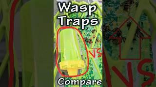 RESCUE! TrapStik vs. Yellowjacket Trap: Which One Really Works?