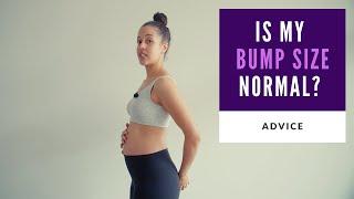 Is My Bump Too Big or Too Small? | Belly Size During Pregnancy