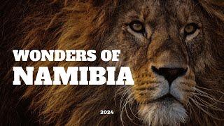 Exploring NAMIBIA in 2024: The Ultimate Travel Adventure!