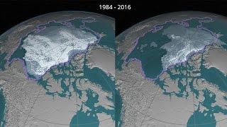 Perennial Arctic Sea Ice Decline 1984 – 2016 (4K)