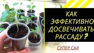 Подсветка рассады. Как сделать досветку  лучше?