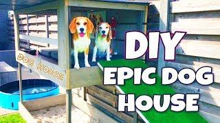 DIY Dog House with Pool , Sandbox and Dog Lounge | Louie The Beagle