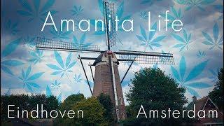 Анонс - Amanita Life - Голландия
