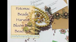 Potomac Beads Best Bead Box November 2021