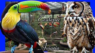  Lugares Asombrosos | El Aviario de Ehecatl en Ecatepec México @mexeople #viral #travel #folcklore