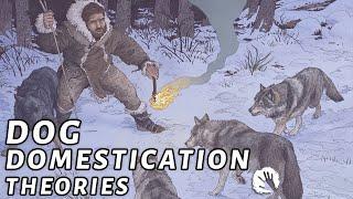 4 Dog Domestication Theories