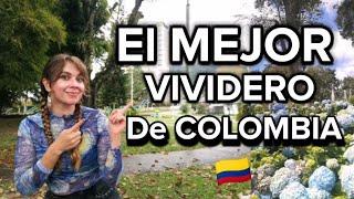 Esta es LA MEJOR CIUDAD PARA VIVIR EN COLOMBIA !!!! Cuales son las razones?