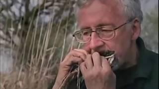 Ray Mears' Wild Food Episode 3