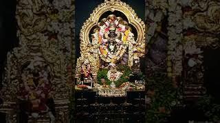 Narasimha dev dorshon short video