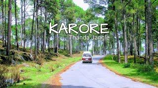 Karore Village | Thanda Jungle | Cloud Folks