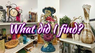 WHAT DID I FIND THRIFTING AT GOODWILL THIS WEEK? THRIFT WITH ME & HAUL  2024!