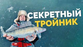СЕКРЕТНЫЙ ТРОЙНИК! Бешеный клев судаков! Рыбалка со льда! Зимняя ловля! Рыбалка 2022