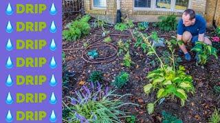 The Gardener's Guide to Drip Irrigation (+ Video Installation) | The Southerner's Northern Garden