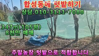 #마산땅 #합성동텃밭