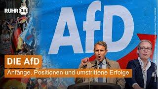 Die AfD – Anfänge, Positionen und umstrittene Erfolge