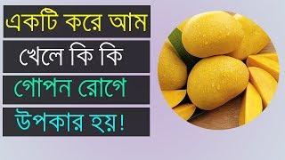 নিয়মিত একটি করে আম খেলে কী কী গোপন উপকার পাওয়া যায়, জানালে প্রতিদিন খাবেন !