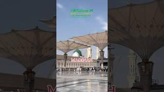 Madinah: The City of Light and Peace ️ #madinah #umrahtrip #umrahwithalsalam #alsalamtours #shorts