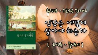 잠이 솔솔ㅣ잠잘때 듣는 이야기ㅣ톨스토이 고백록ㅣ책읽어주는 여자