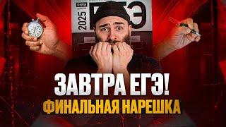 ФИНАЛЬНАЯ НАРЕШКА ПЕРЕД ЕГЭ | История с Гефестом ЕГЭFlex