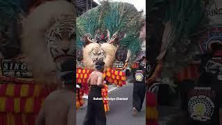 Reog Singo Mbalelo Pringgondani Modosio 2023 #shorts #reog #reogponorogo #reogviral #modosio