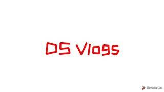 DS Vlogs