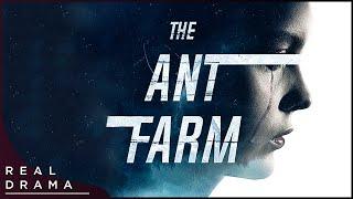 The Ant Farm (2022) | Award Winning Thriller | Full Movie in English