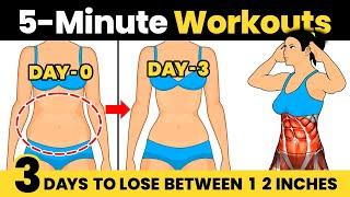 5 Minute STANDING ABS Workout  Lose Your BELLY FAT in 3 Days!