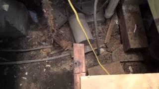 Foundation repair replacing floor joist and subfloor after a bad foundation repair.